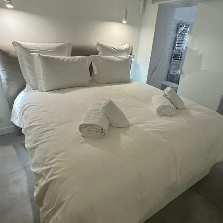 Апартаменты Le Loft Mentonnais